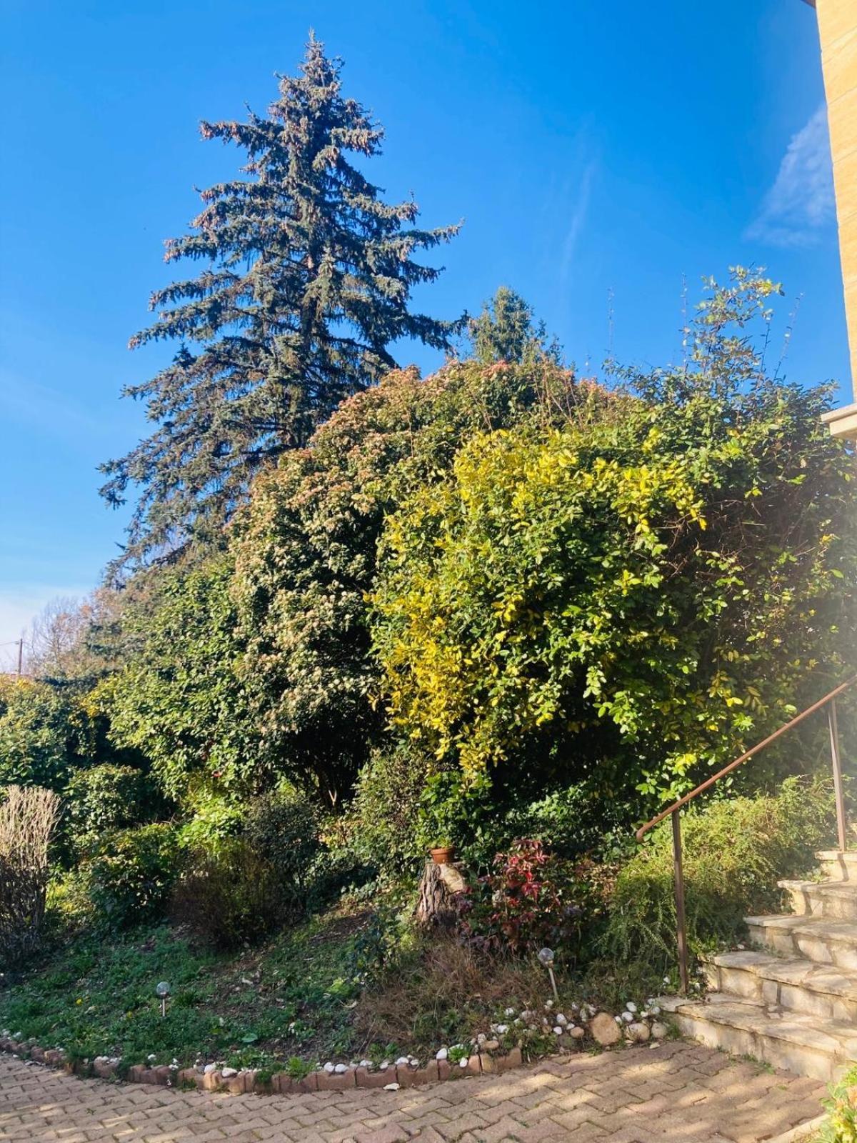 Ferienwohnung La Petite Noix Sarlat Exterior foto