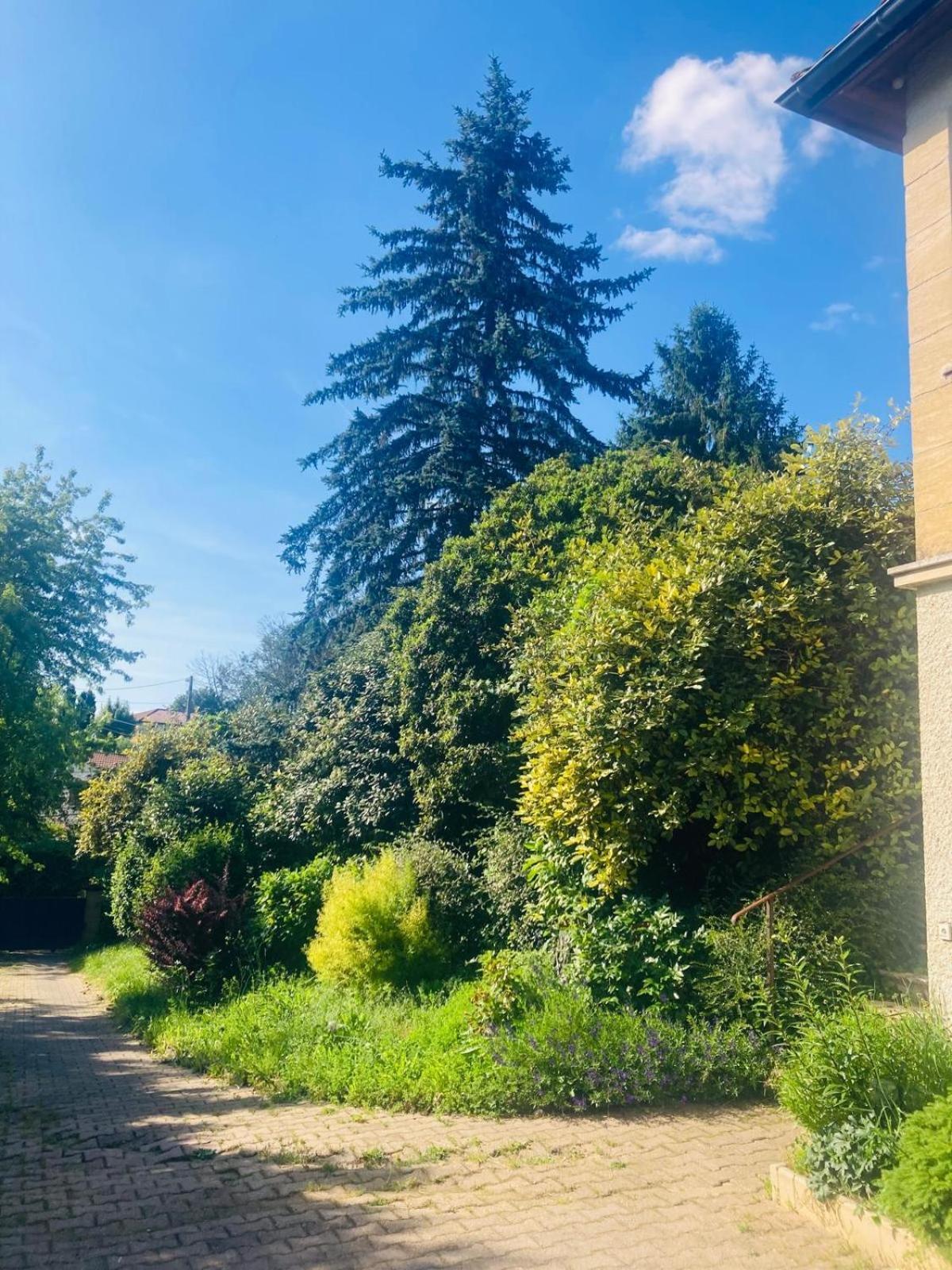 Ferienwohnung La Petite Noix Sarlat Exterior foto